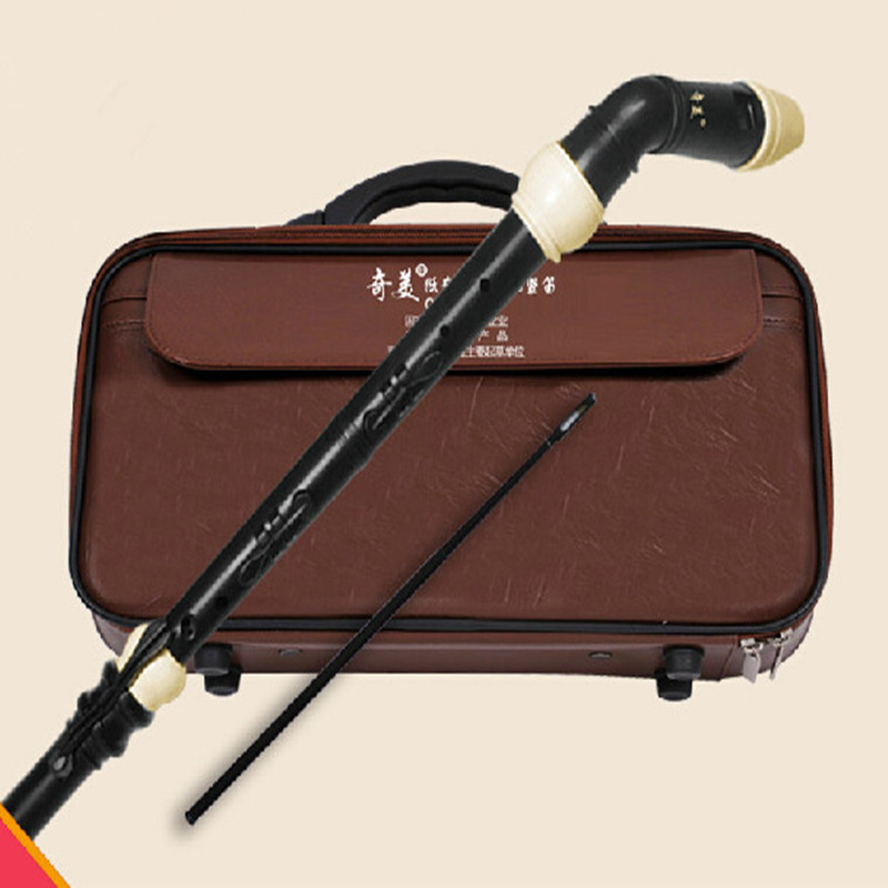 전문 8 홀 바로크베이스 수지 클라리넷 중국어 플루트  - Recorder Baroque Style 리뷰 및 가격