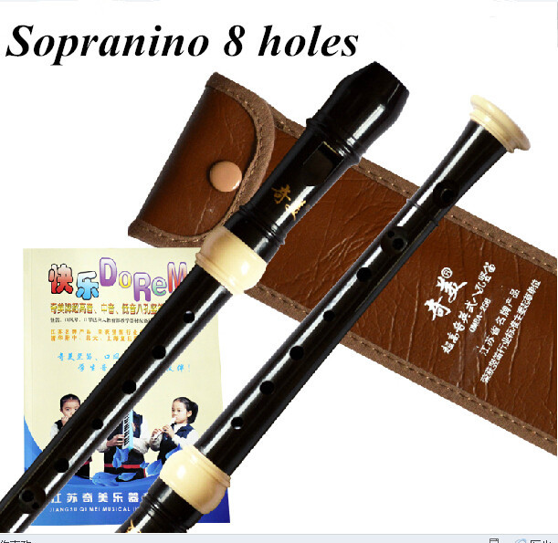 바로크 8 홀 Sopranino 플라스틱 레코더 영어  - Recorder Baroque Style 리뷰 및 가격