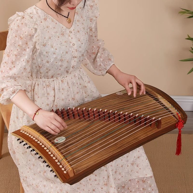 70/100cm 소형 거정 휴대용 여행용 21줄 정악  - Musical Instrument Guzheng 리뷰 및 가격